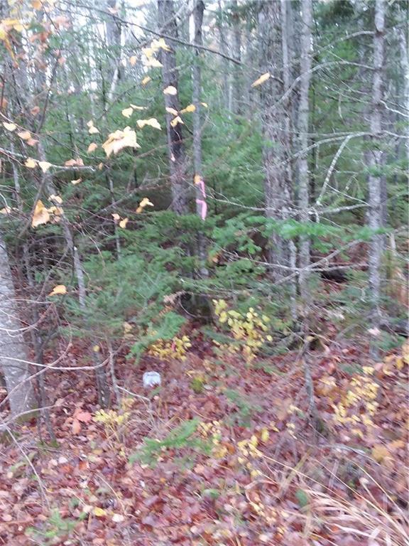 1320 Manktown Road Waldoboro, ME 04572 - Photo 4 of 5 Photo