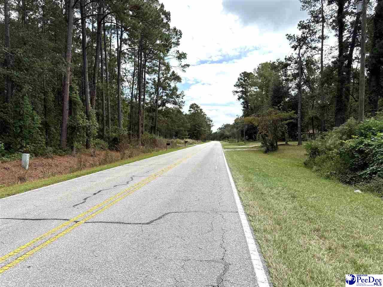Hemingway Highway Nesmith, SC 29580 - Photo 4 of 5 Gallery Image 4