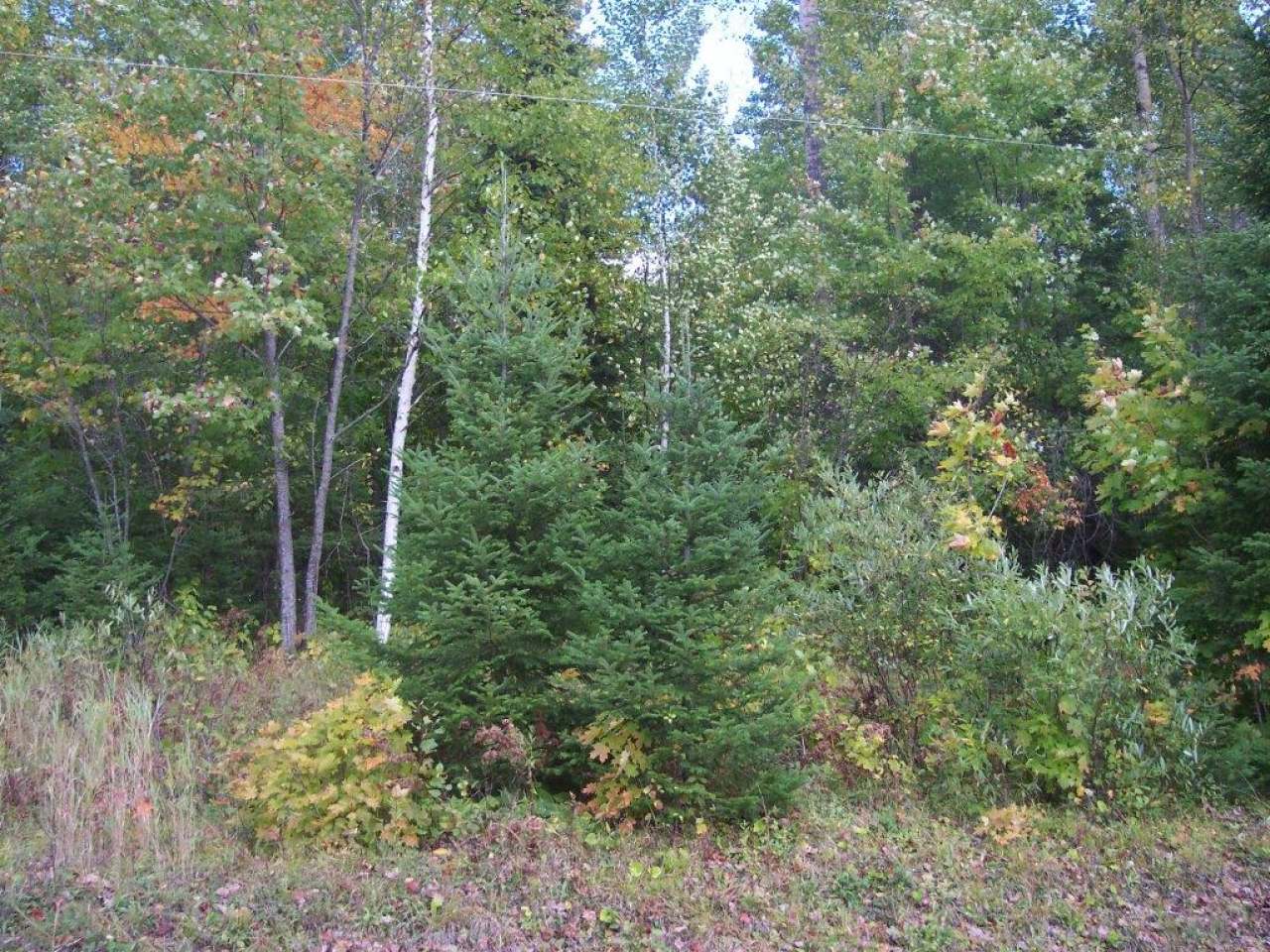 On Palmer Road, Unit LOT 1 Presque Isle, WI 54557 - Photo 5 of 11 Gallery Image 5