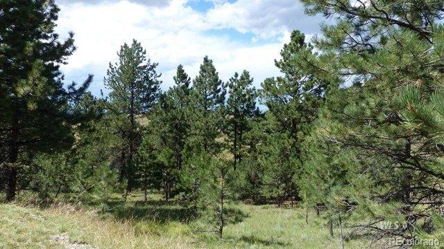 507 Kankakee Road Silver Cliff, CO 81252 - Photo 13 of 18 Gallery Image 13