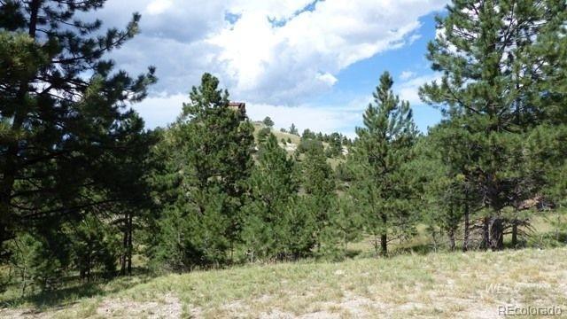 507 Kankakee Road Silver Cliff, CO 81252 - Photo 17 of 18 Gallery Image 17