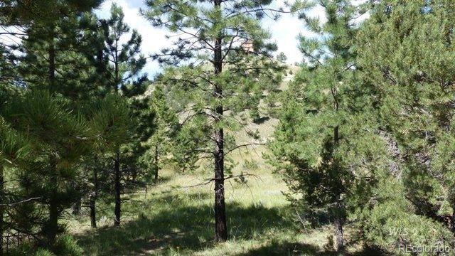 507 Kankakee Road Silver Cliff, CO 81252 - Photo 10 of 18 Gallery Image 10