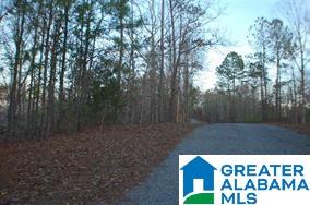 0 Bluff Road, Unit 1 Rockford, AL 35136 - Photo 13 of 18