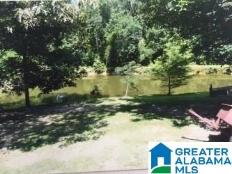 855 County Road 54 Montevallo, AL 35115 - Photo 6 of 20