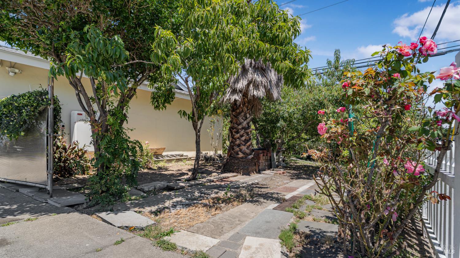 1801 Corby Avenue Santa Rosa, CA 95407 - Photo 8 of 35