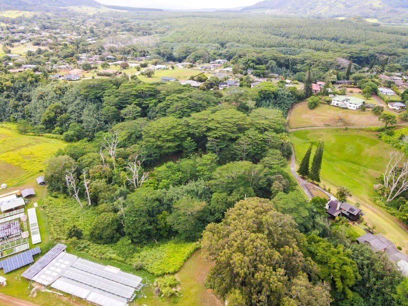 37 Omao Road Koloa, HI 96756 - Photo 12 of 29