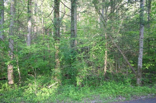 Lot 10 Baxter Road Cosby, TN 37722 - Photo 3 of 6 IMG_5581