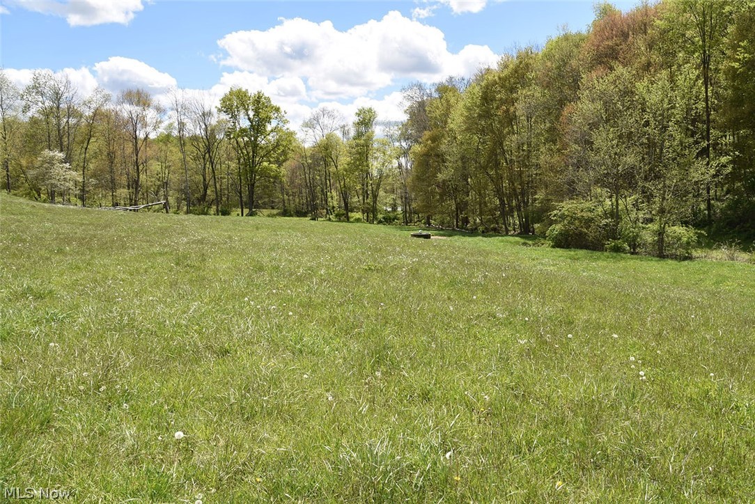 252 Waynesburg Road Northeast Carrollton, OH 44615 - Photo 19 of 35