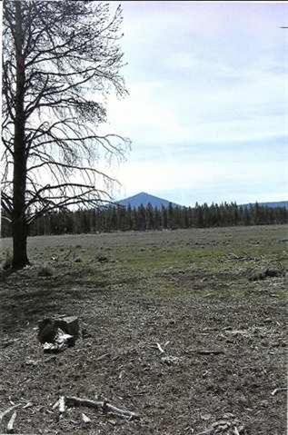 39150 9 9 Mile Road Chiloquin, OR 97624 - Photo 15 of 15 Additional Photo