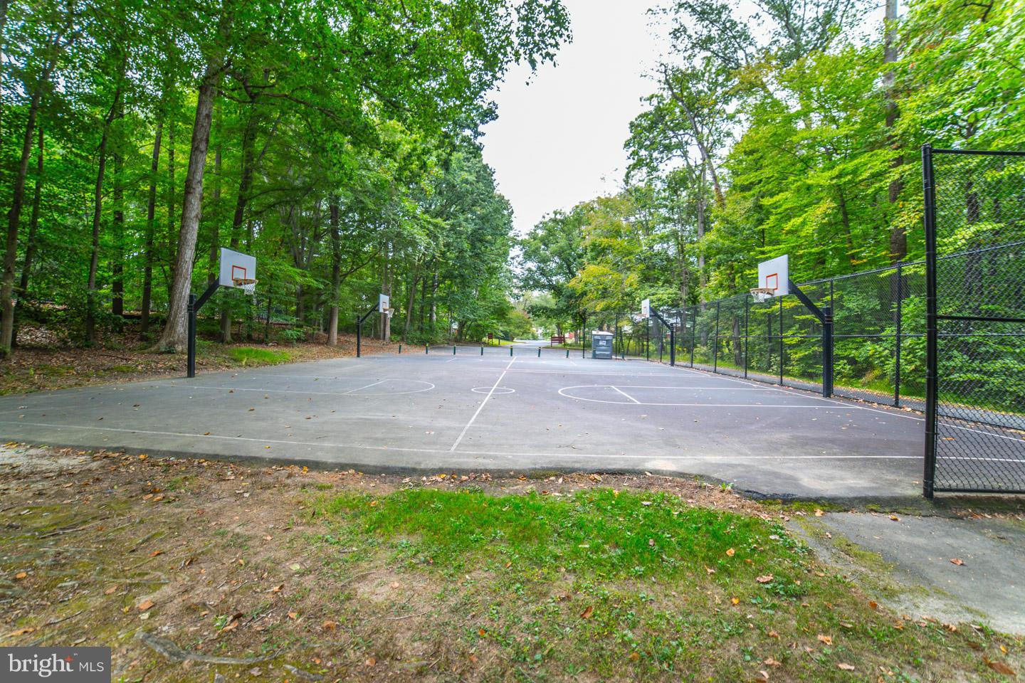 8666 Cromwell Drive Springfield, VA 22151 - Photo 28 of 30 Community