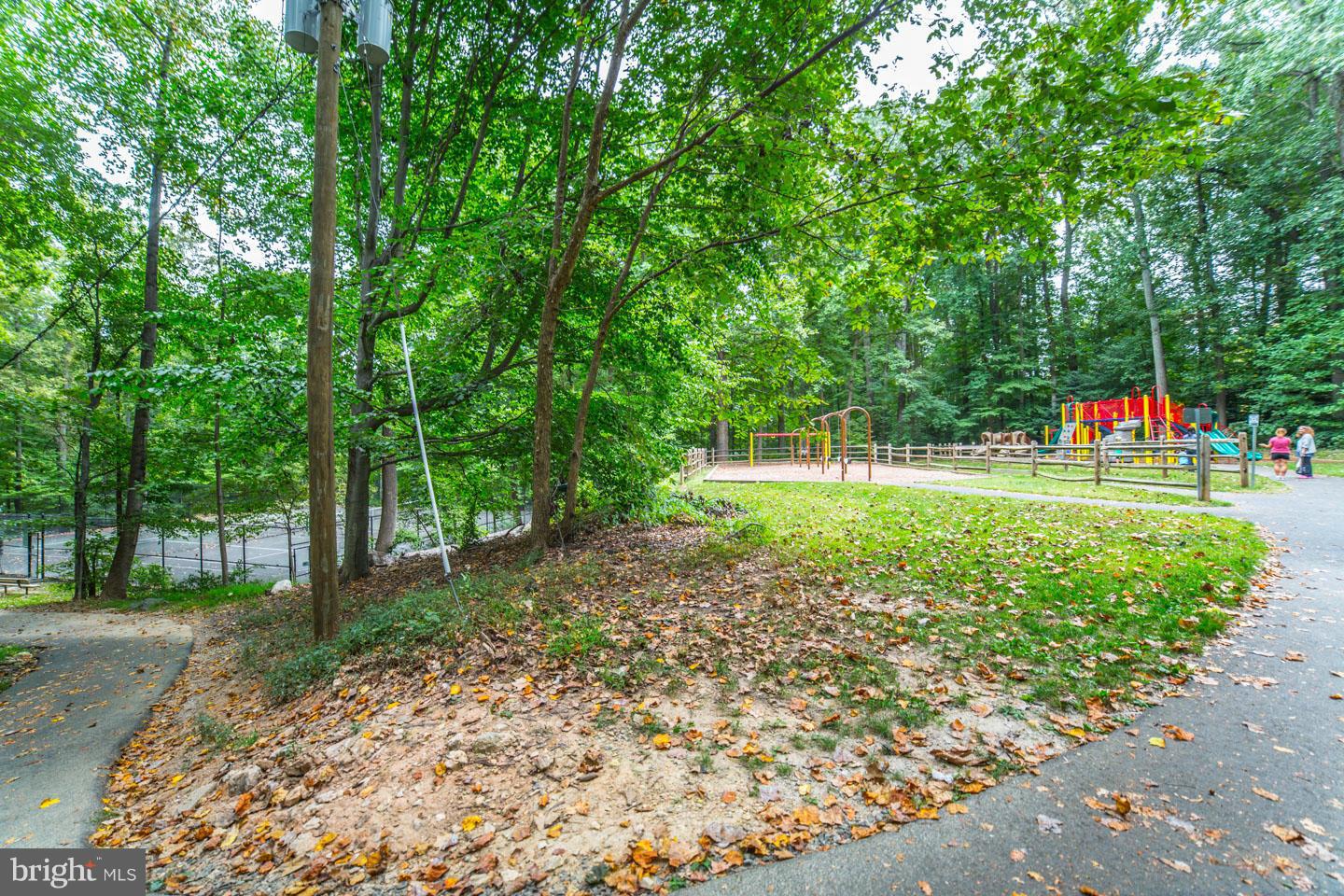 8666 Cromwell Drive Springfield, VA 22151 - Photo 29 of 30 Community