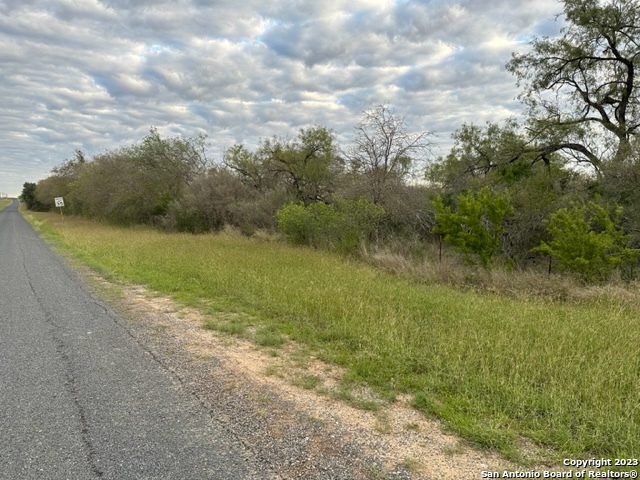 0 Christine Road Jourdanton, TX 78026 - Photo 11 of 11