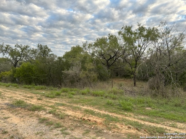 0 Christine Road Jourdanton, TX 78026 - Photo 4 of 11