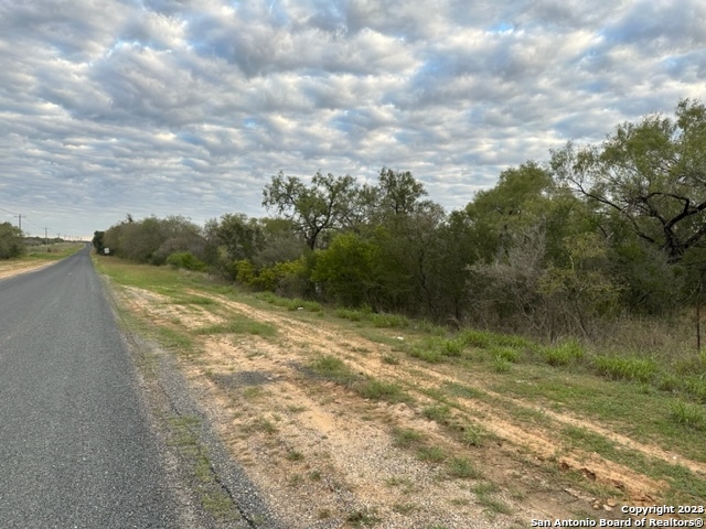 0 Christine Road Jourdanton, TX 78026 - Photo 6 of 11