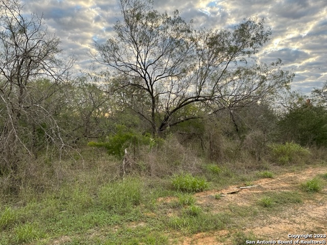 0 Christine Road Jourdanton, TX 78026 - Photo 7 of 11