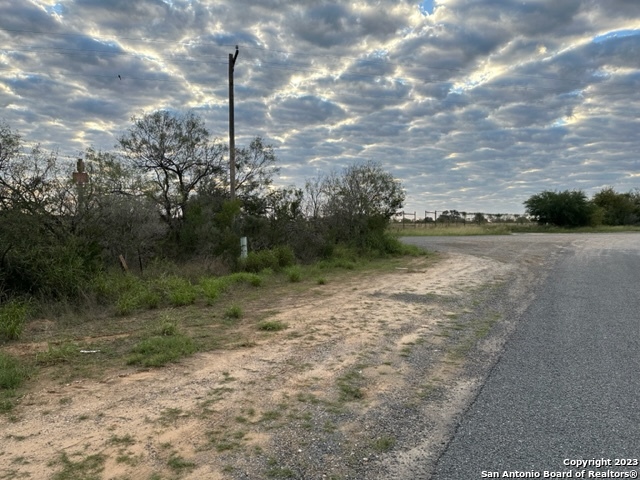 0 Christine Road Jourdanton, TX 78026 - Photo 8 of 11
