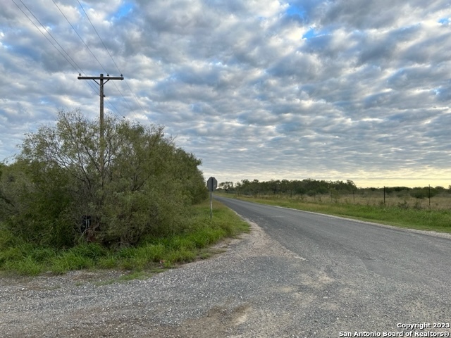 0 Christine Road Jourdanton, TX 78026 - Photo 9 of 11