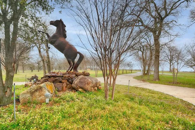 a view of yard with tree