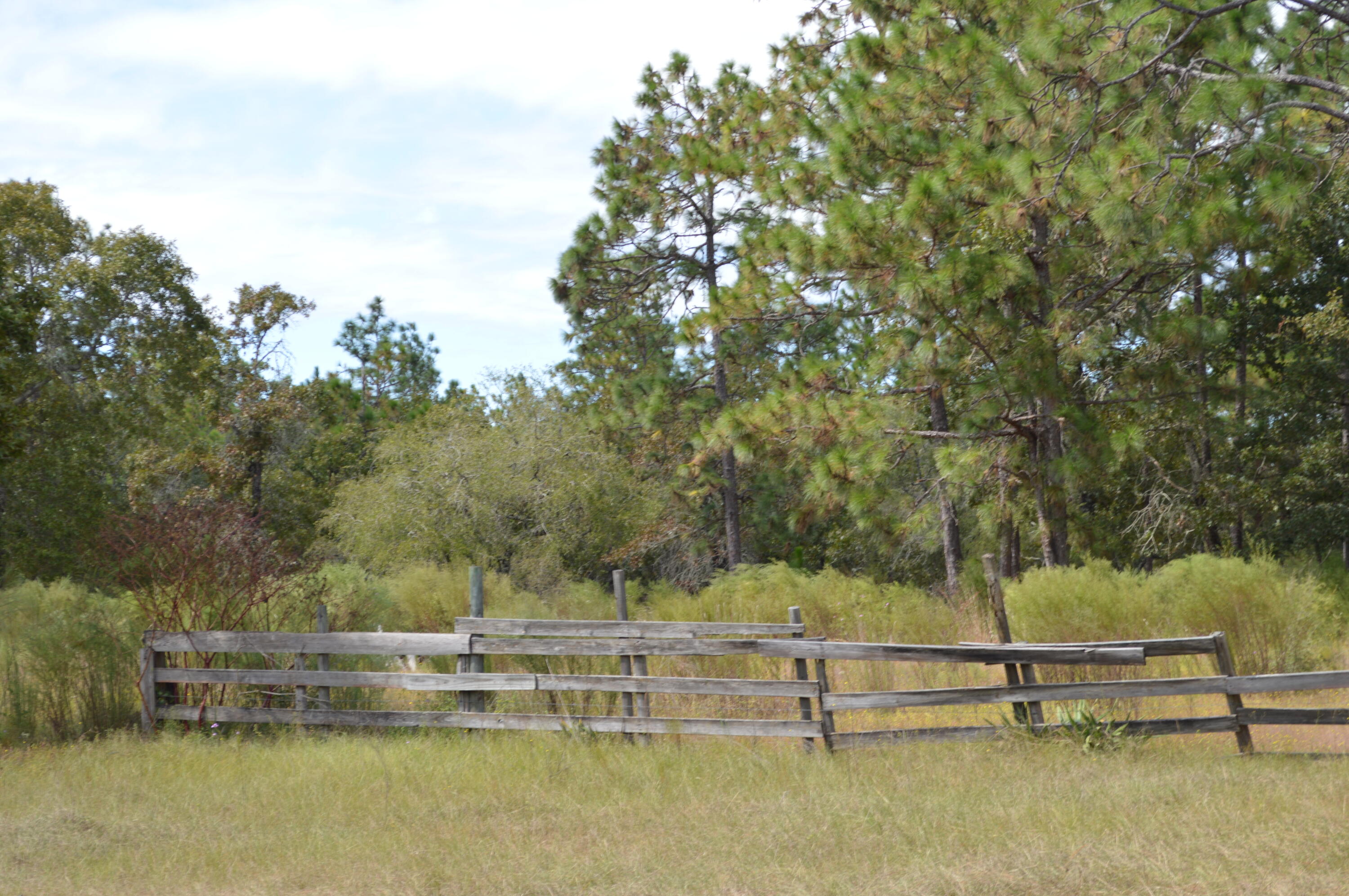 902 Bailie Road Crestview, FL 32539 - Photo 25 of 34 a view of a lake with couches and trees