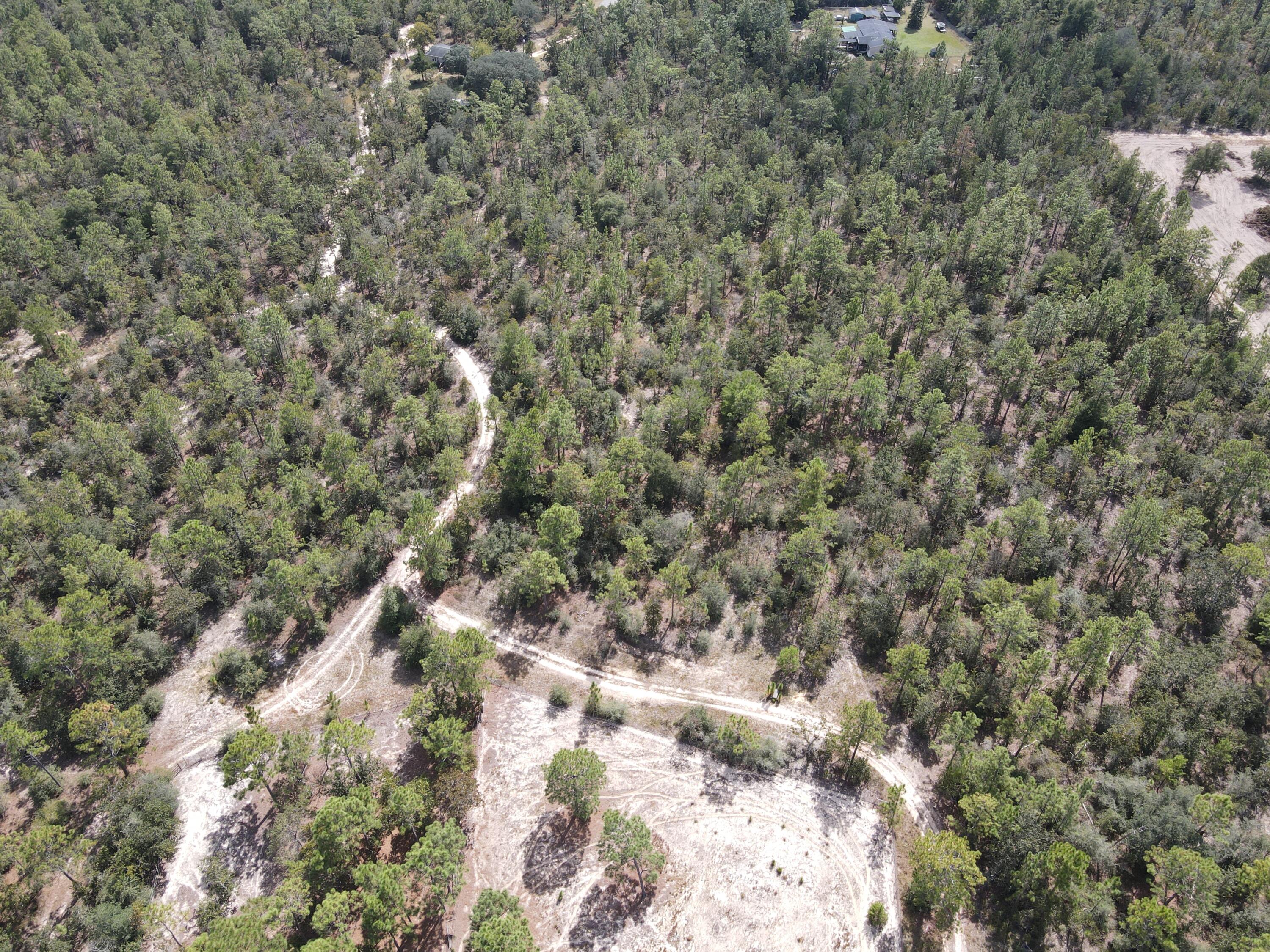 902 Bailie Road Crestview, FL 32539 - Photo 30 of 34 a view of a forest with lots of trees