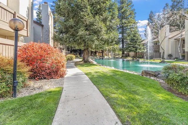 a view of a backyard with plants