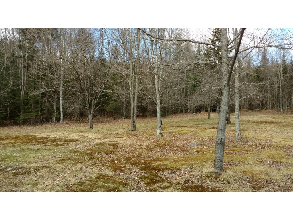 95 Matthew Dudley Road Granby, VT 05840 - Photo 23 of 25