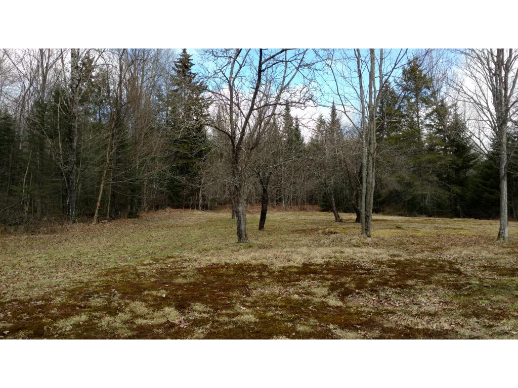 95 Matthew Dudley Road Granby, VT 05840 - Photo 24 of 25
