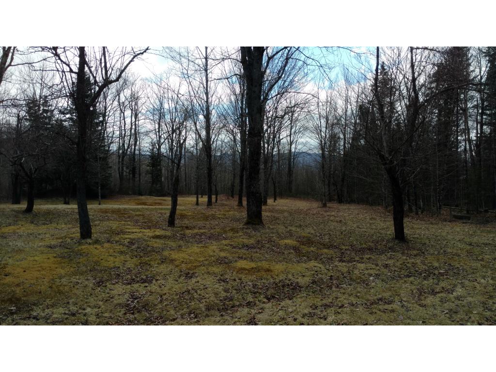 95 Matthew Dudley Road Granby, VT 05840 - Photo 25 of 25
