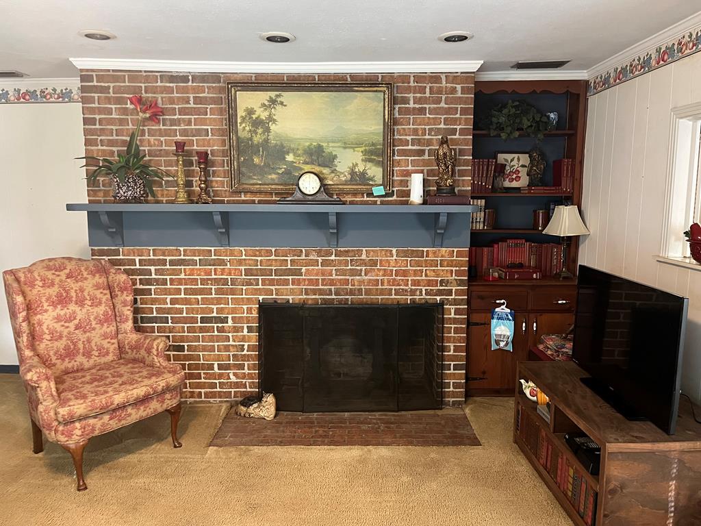 1638 Highway 87 Samson, AL 36477 - Photo 4 of 13