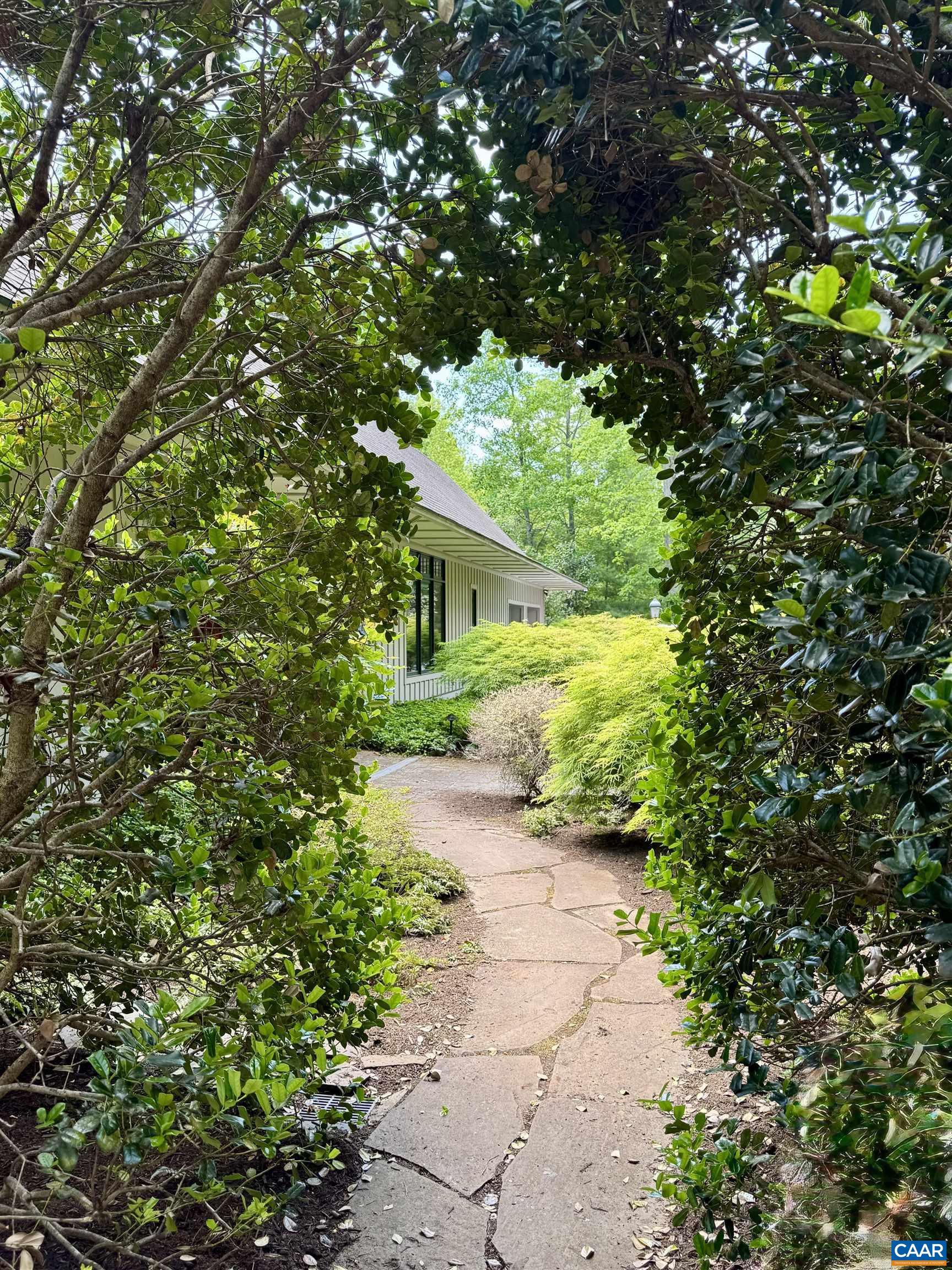 889 Old Garth Road Charlottesville, VA 22901 - Photo 7 of 35 a view of a yard with plants and large trees