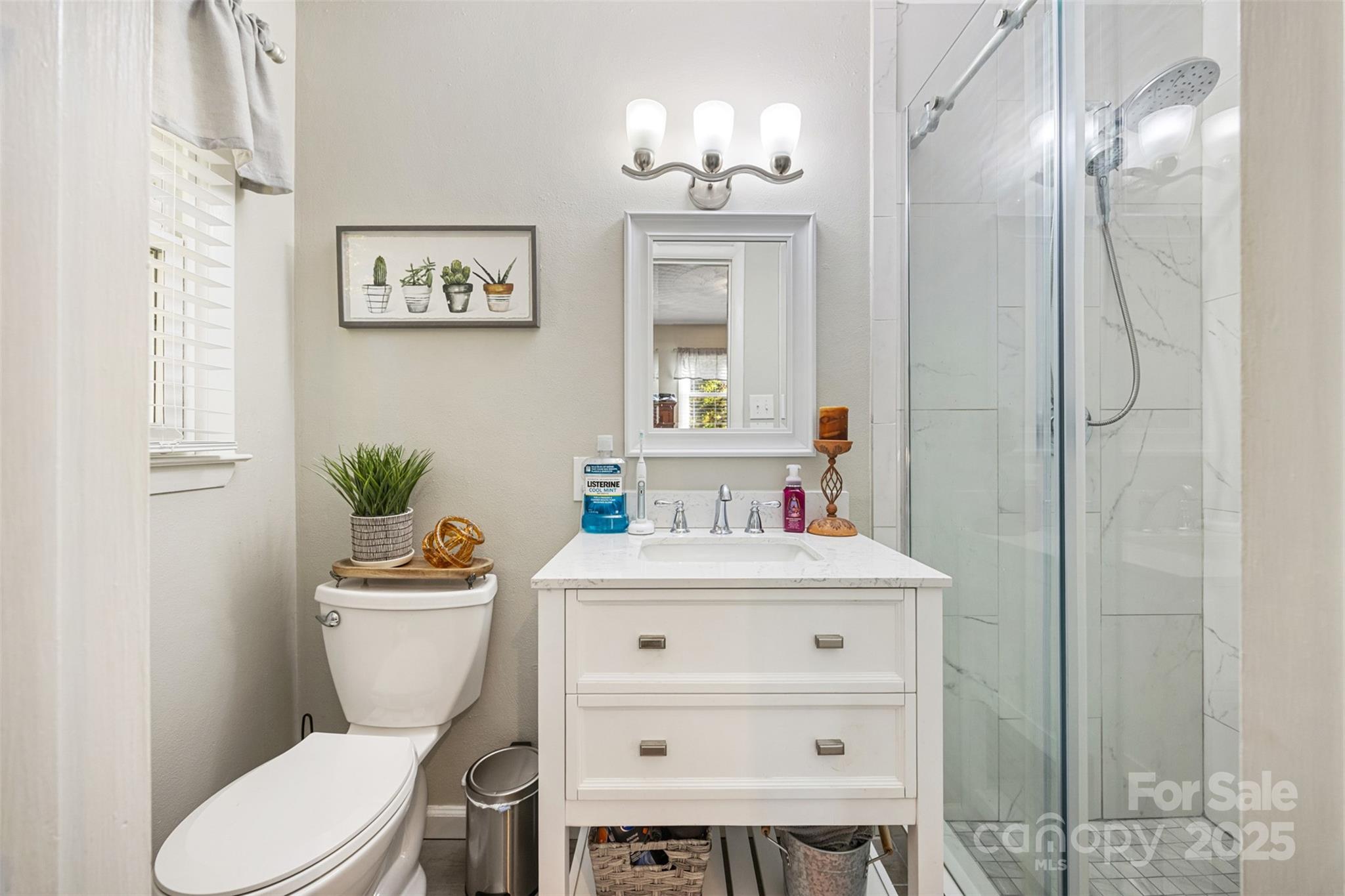 1711 McCombs Street Newton, NC 28658 - Photo 19 of 41 a bathroom with a sink a toilet a mirror and shower
