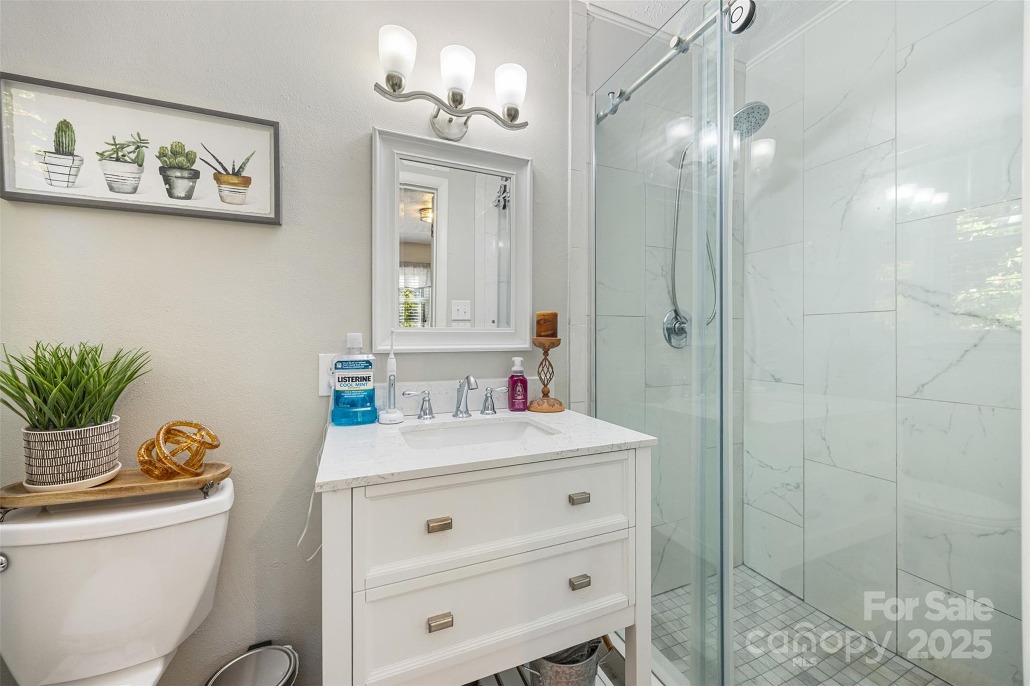1711 McCombs Street Newton, NC 28658 - Photo 20 of 41 a bathroom with a sink a toilet and a mirror