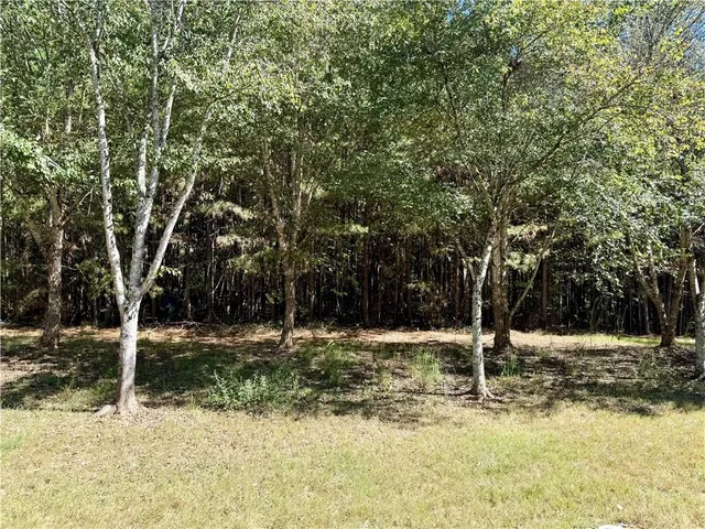 a view of a yard with a tree