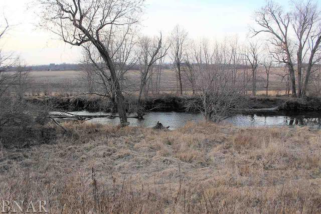 4941 Leghorn Road Clinton, IL 61727 - Photo 4 of 6