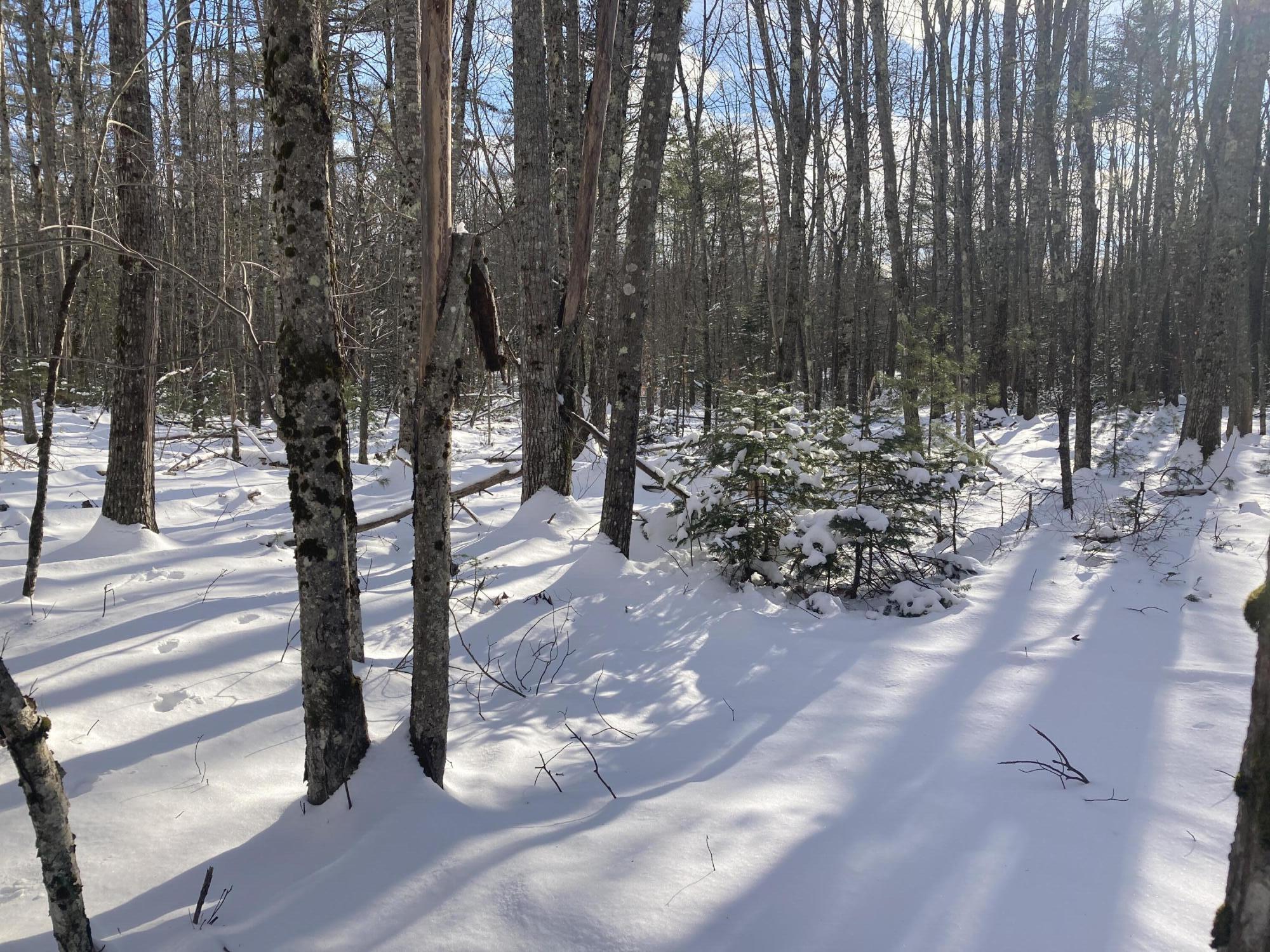 Map11-rl55 East Pittston Road Pittston, ME 04345 - Photo 6 of 14 6 (1)