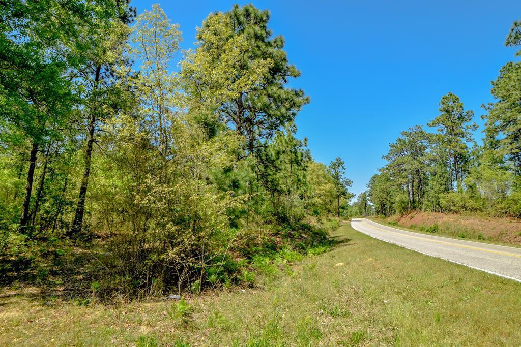 2516 Silver Bluff Road Aiken, SC 29803 - Photo 3 of 4