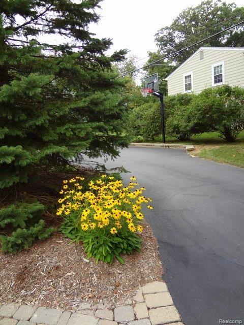 5794 Raven Road Bloomfield Hills, MI 48301 - Photo 19 of 20 Basketball Area