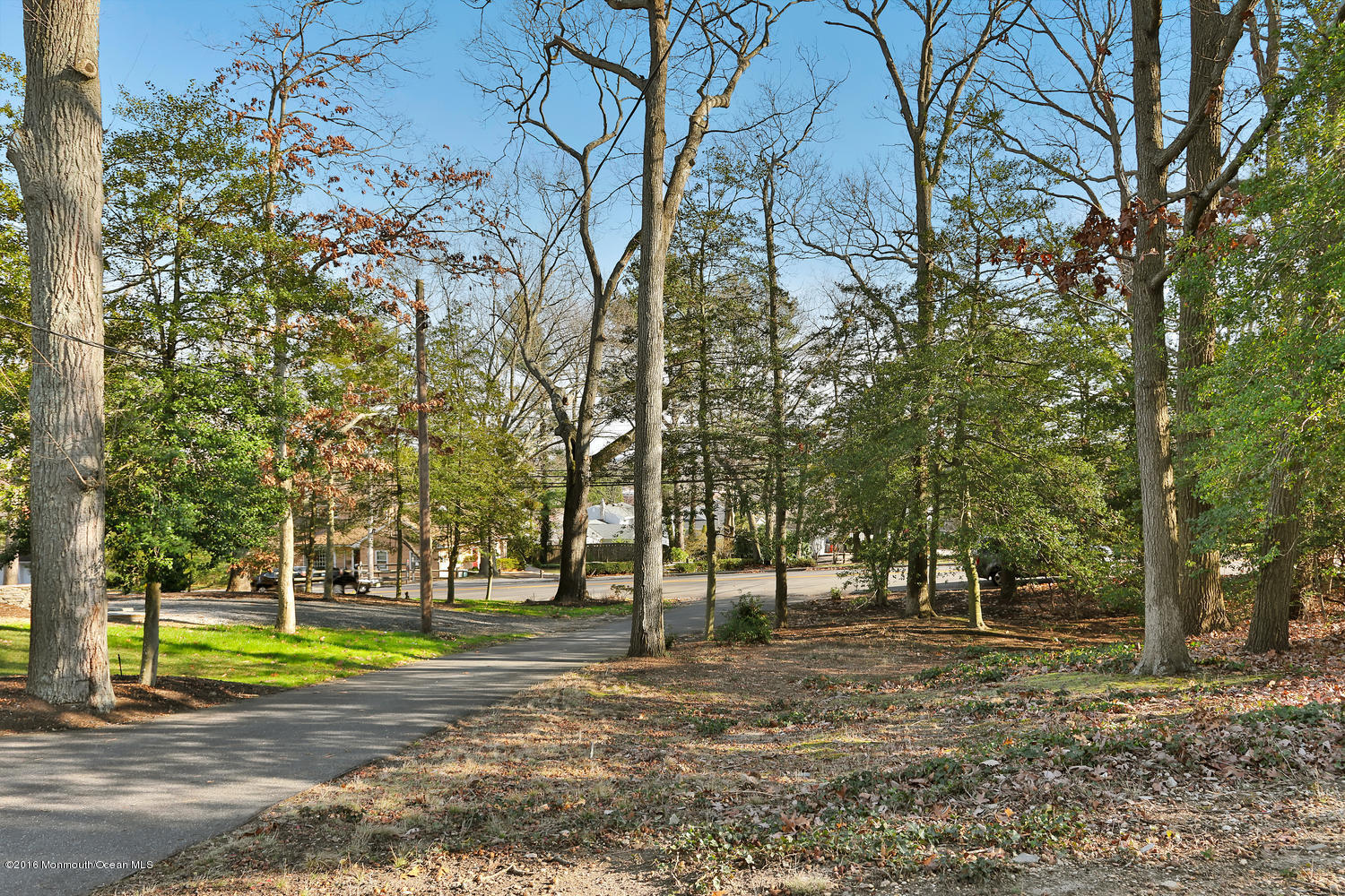 717 Schoolhouse Road Brielle, NJ 08730 - Photo 3 of 22 a view of a park with large trees