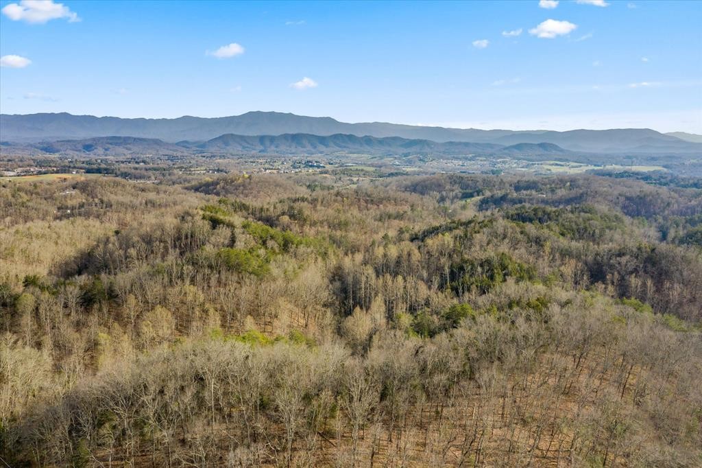 0 Lane Hollow Road Sevierville, TN 37876 - Photo 1 of 7