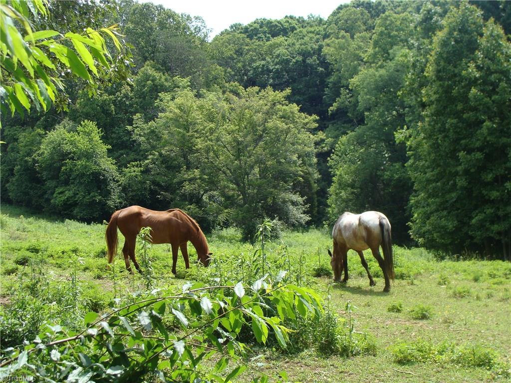 3528 Shaffner Road Jonesville, NC 28642 - Photo 17 of 30 Gallery Image 17