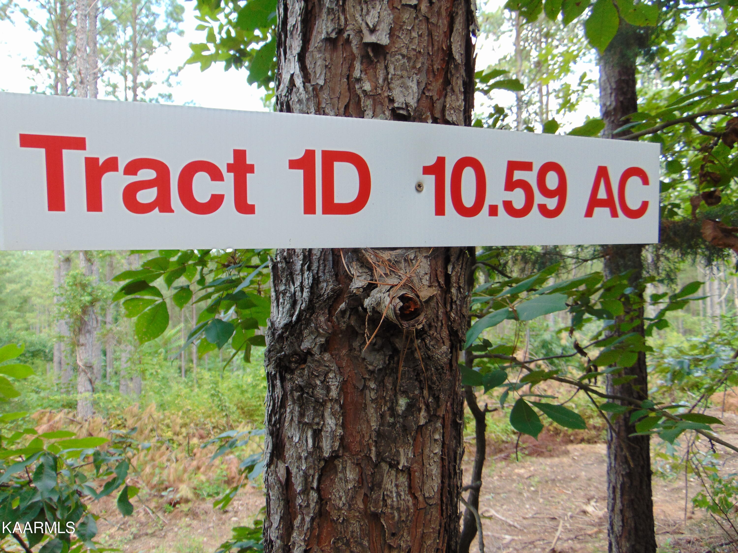 TR 1D Charles 1 sign