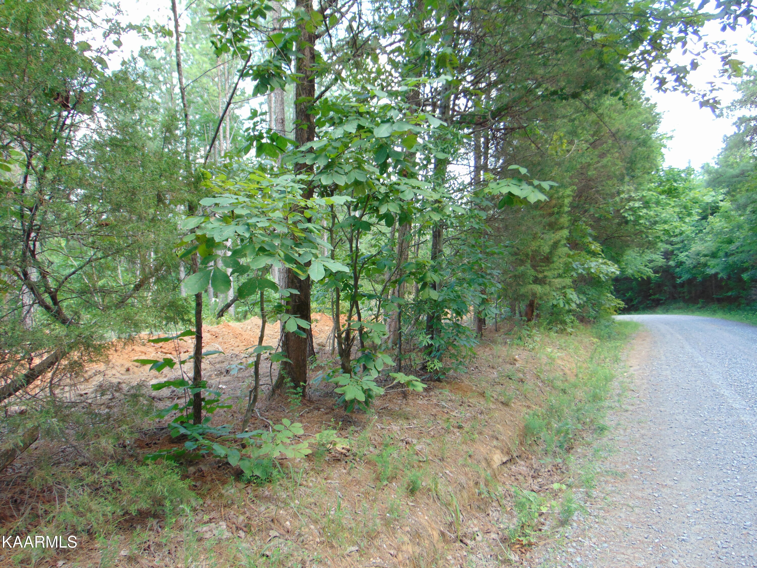 1 D Charles Road Decatur, TN 37322 - Photo 2 of 6 TR 1D Charles 5 roadfront