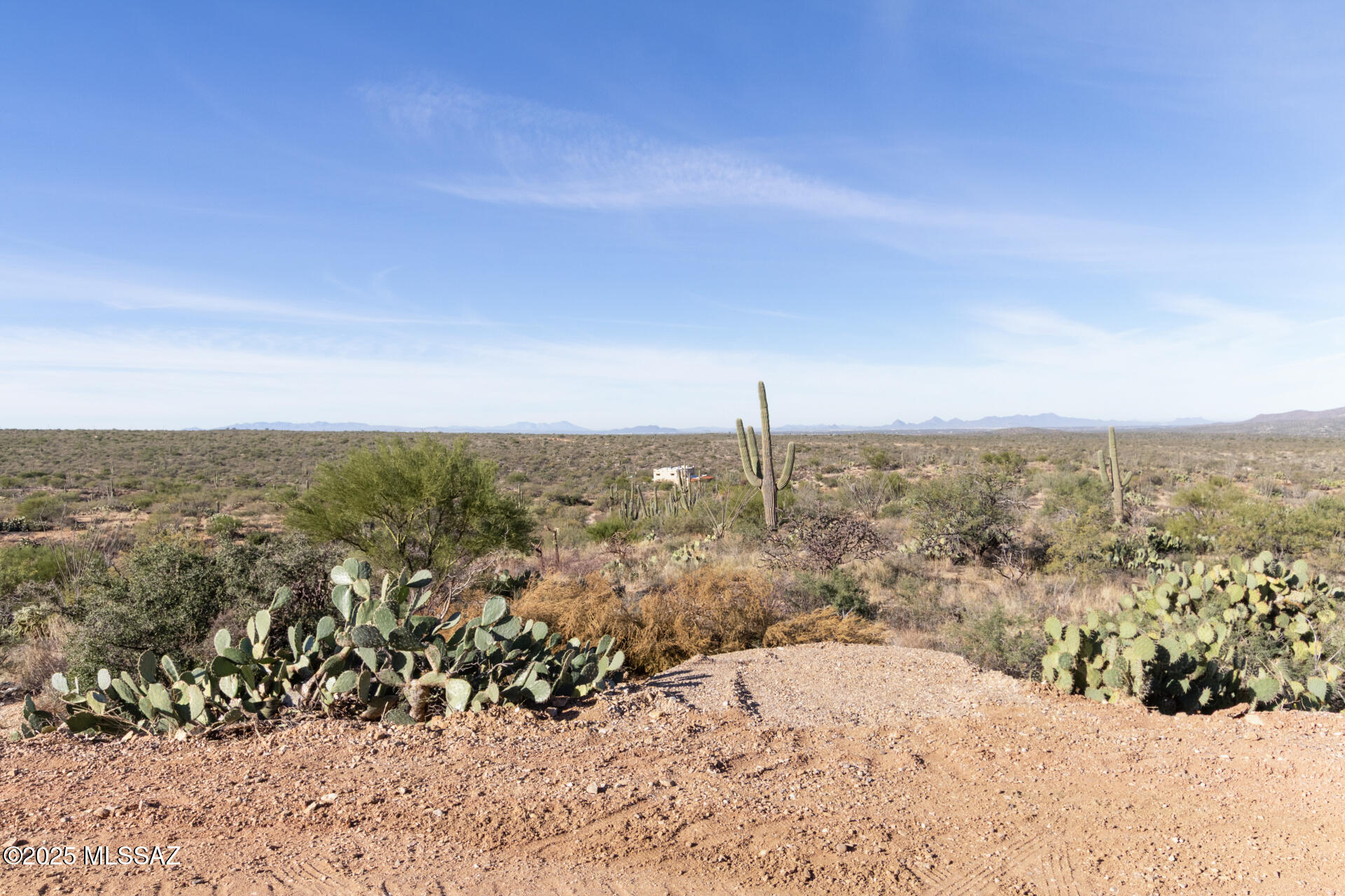 8491 South Pistol Hill Road Vail, AZ 85641 - Photo 43 of 50 Beautiful desert landscape
