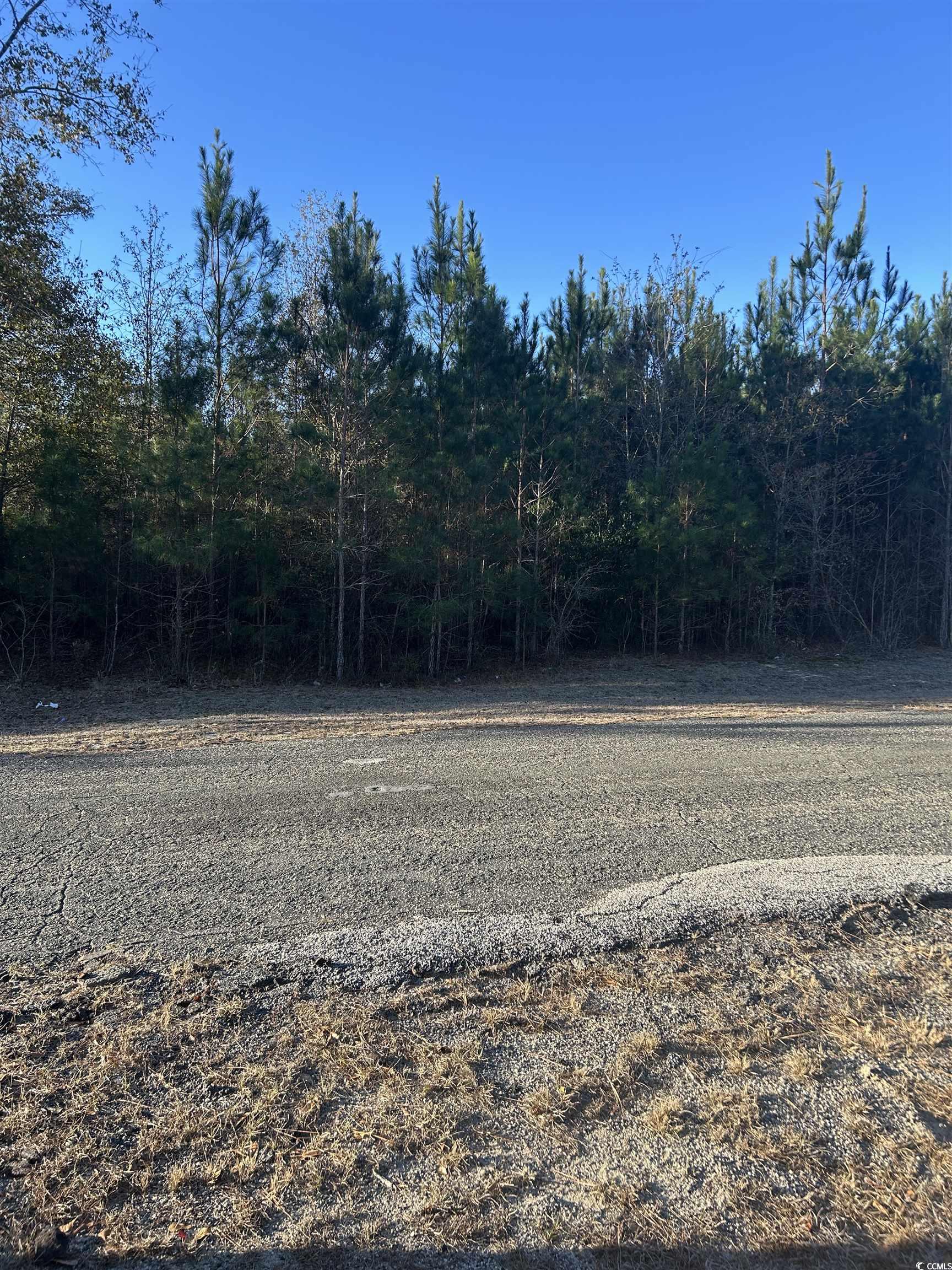 Tbd Sugar Hill Road Dillon, SC 29536 - Photo 4 of 20