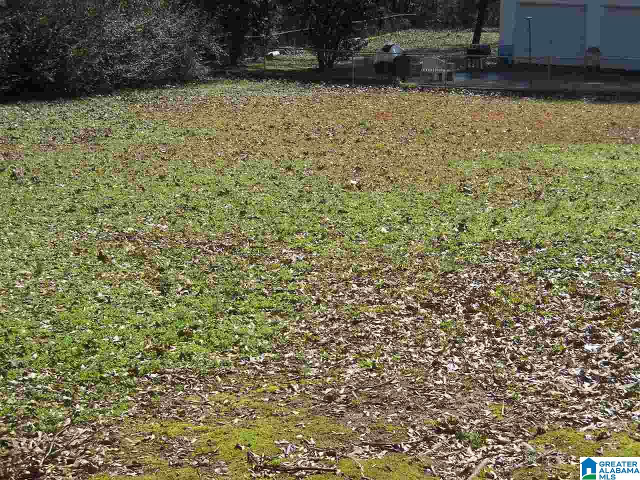 517 Creekview Lane Pelham, AL 35124 - Photo 19 of 26