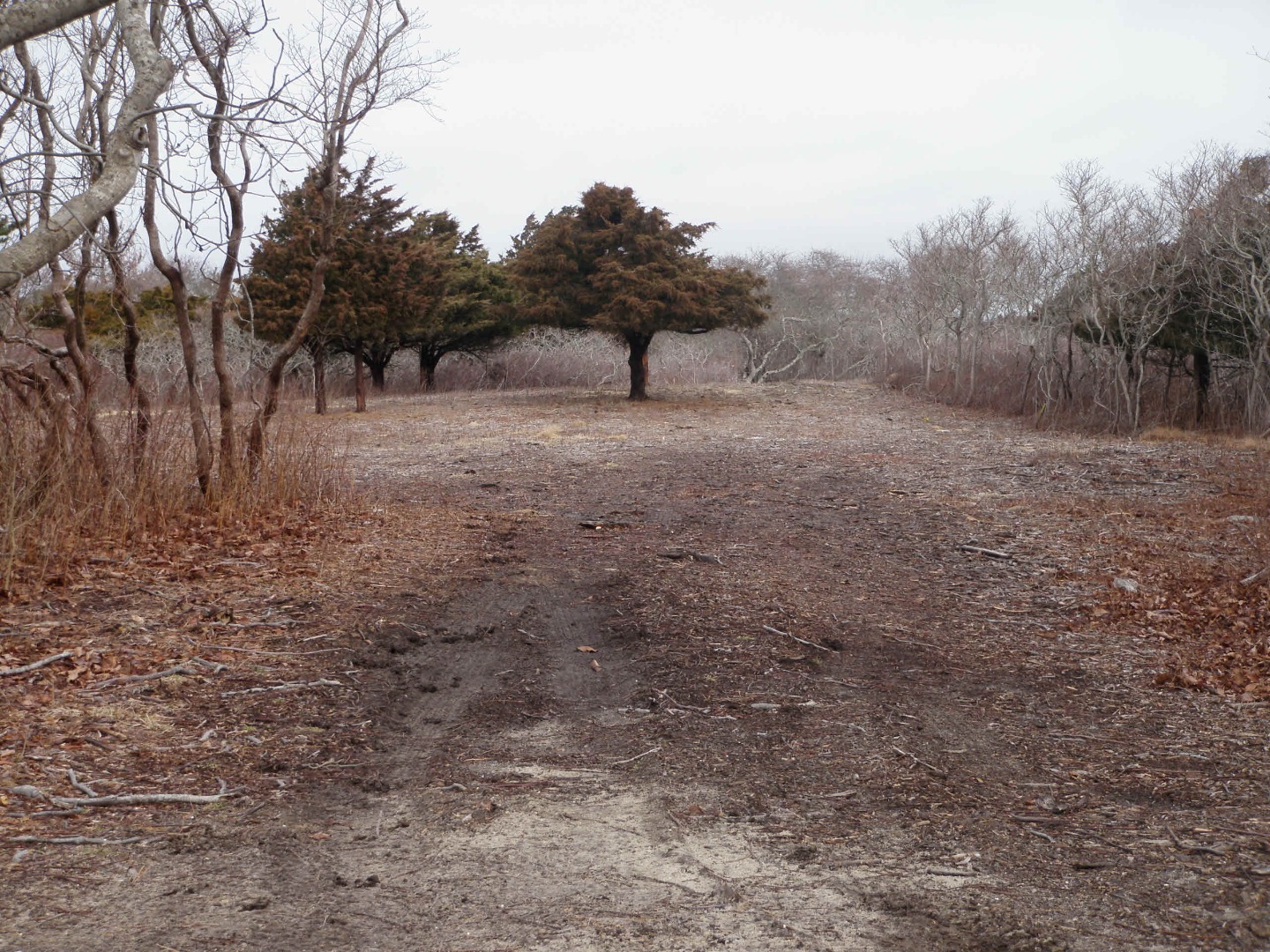 75 Pocomo Road Nantucket, MA 02554 - Photo 1 of 1 Gallery Image 1