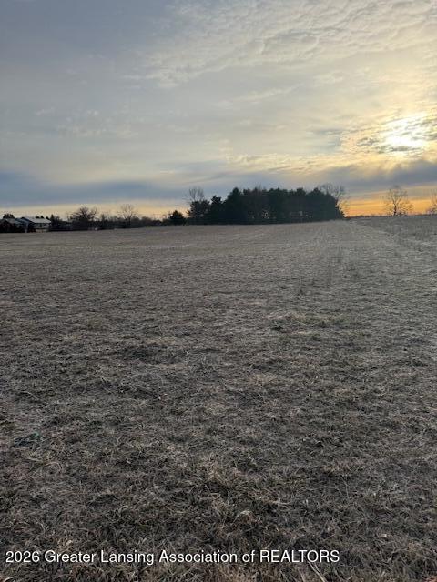 0 South Watson Road St. Johns, MI 48879 - Photo 1 of 10 IMG_9204a738