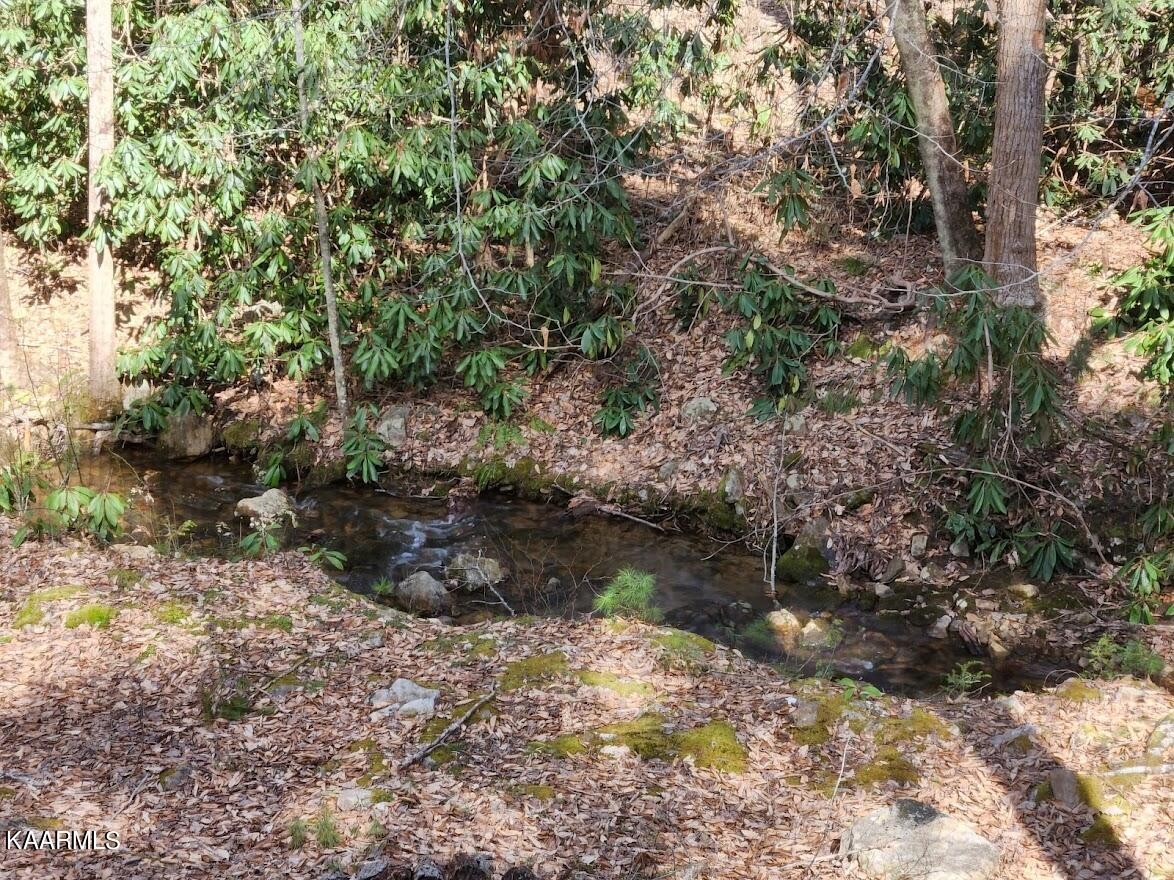 3390 Rocky Ridge Road Cosby, TN 37722 - Photo 14 of 45 a view of a water pond with green space