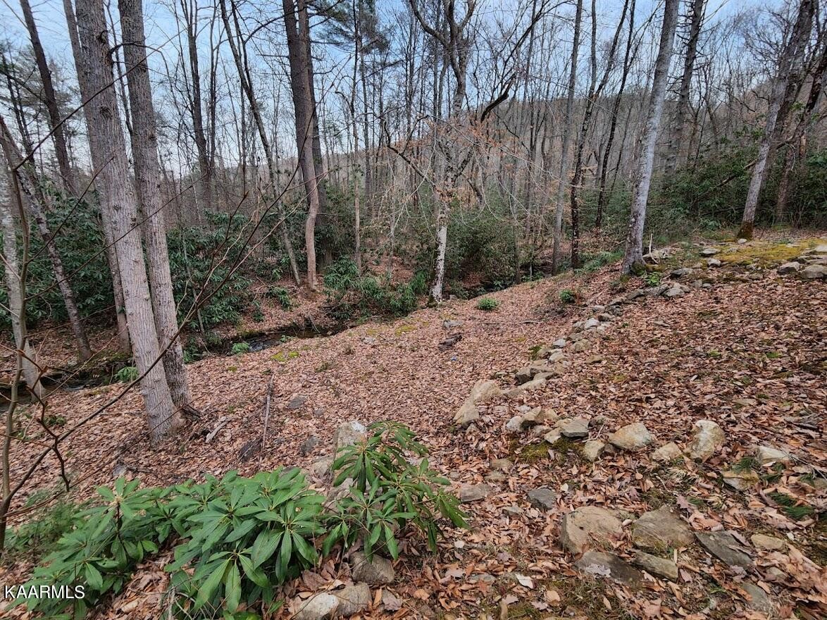 3390 Rocky Ridge Road Cosby, TN 37722 - Photo 16 of 45