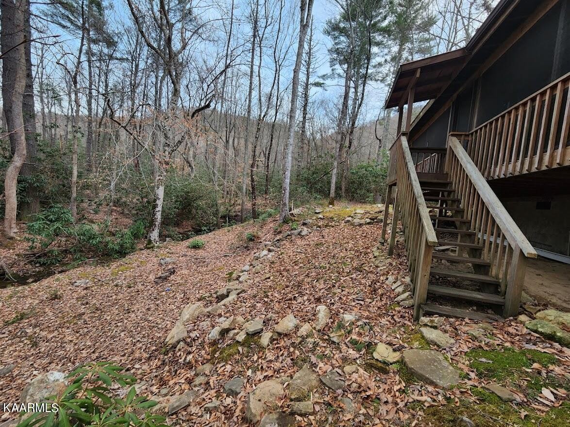 3390 Rocky Ridge Road Cosby, TN 37722 - Photo 17 of 45 a backyard of a house with lots of green space